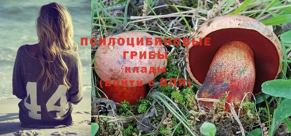 a pvp Аркадак
